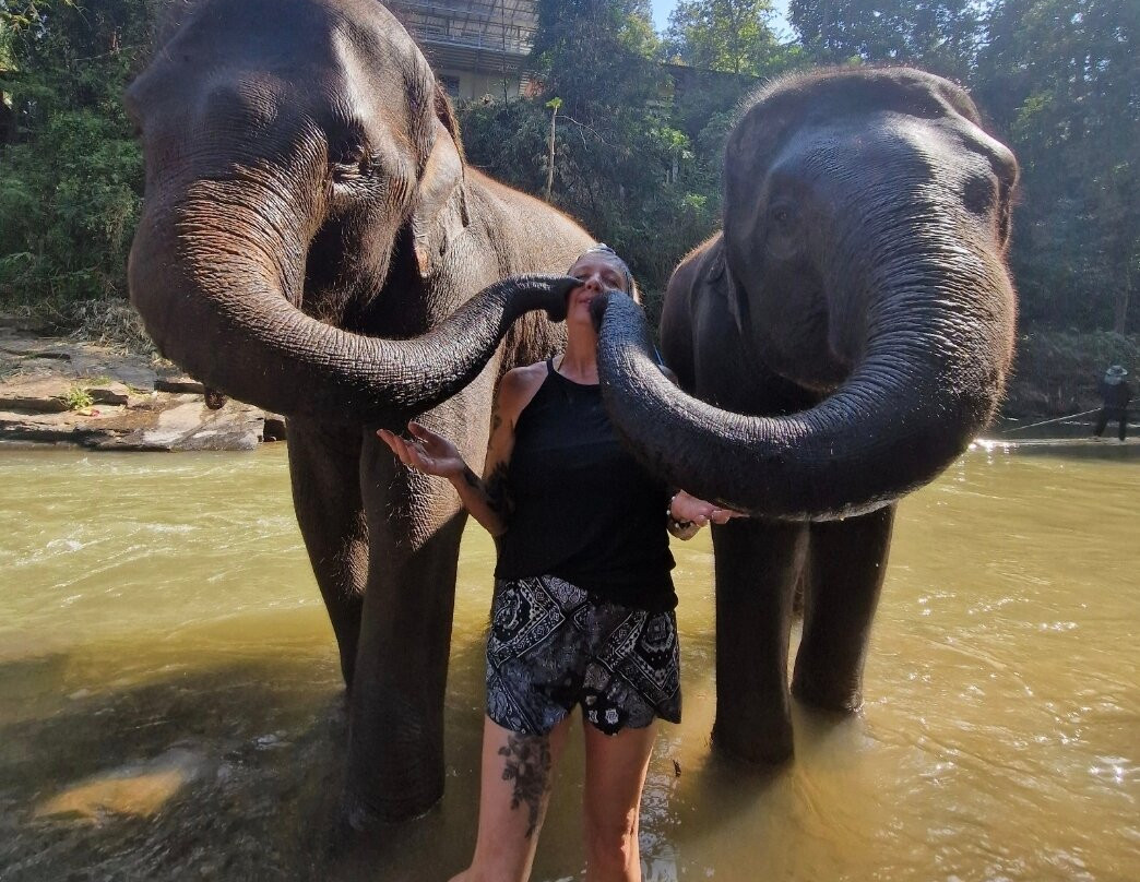Chiang Mai Elephant Friends-夜旺必去景点