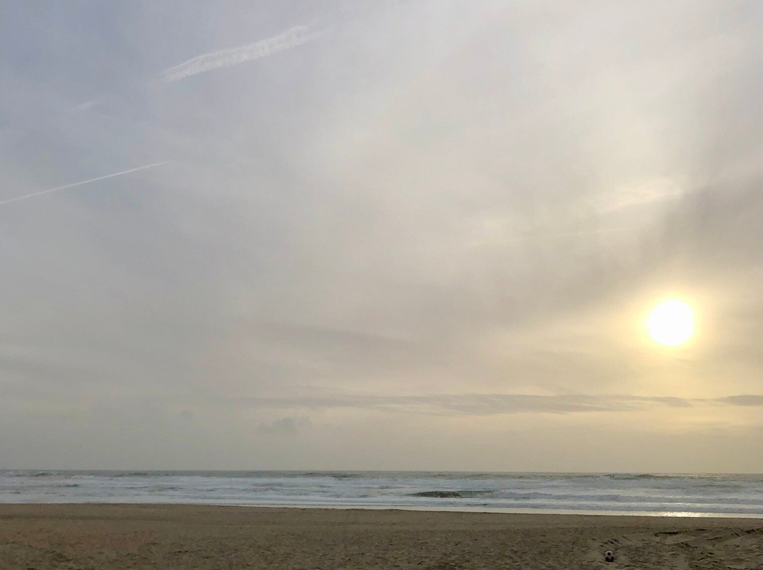 Praia do Aterro-Leca da Palmeira必去景点