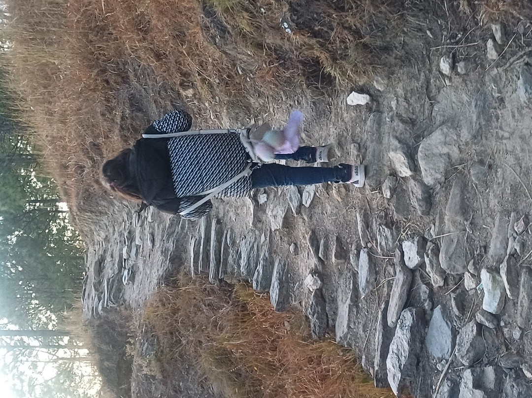 The Jungle Hook Binsar