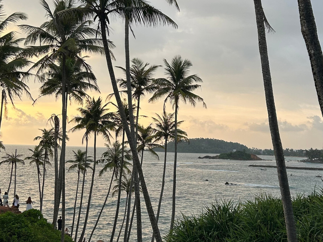 Sri Lanka Tours & Holidays景点图片