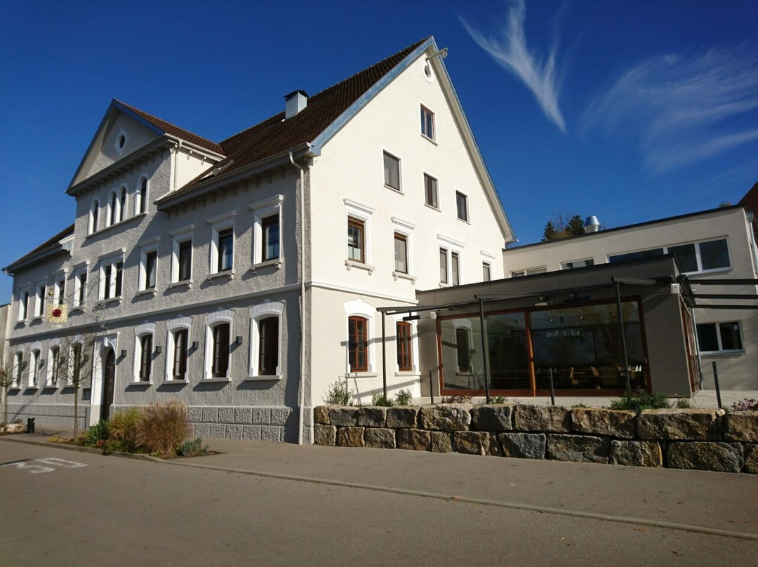 爱因根餐馆和美食-Landgasthof Und Landgut-hotel Zur Rose