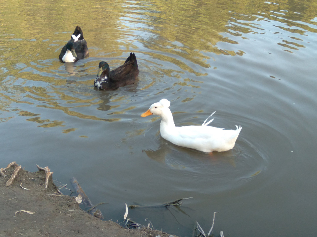 Parque de Mayo-Bahia Blanca必去景点