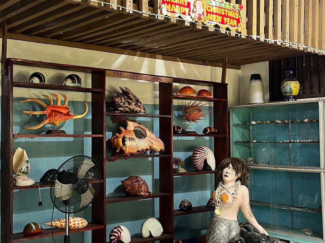 Nova Shells Museum-邦劳岛必去景点