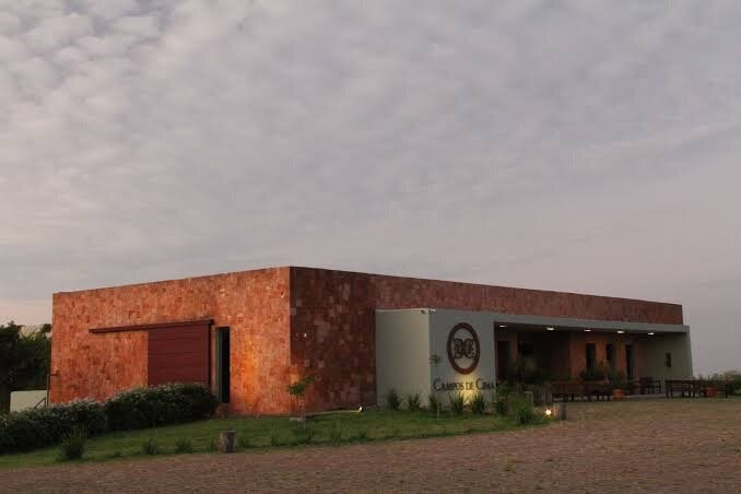 Vinícola Campos de Cima景点图片