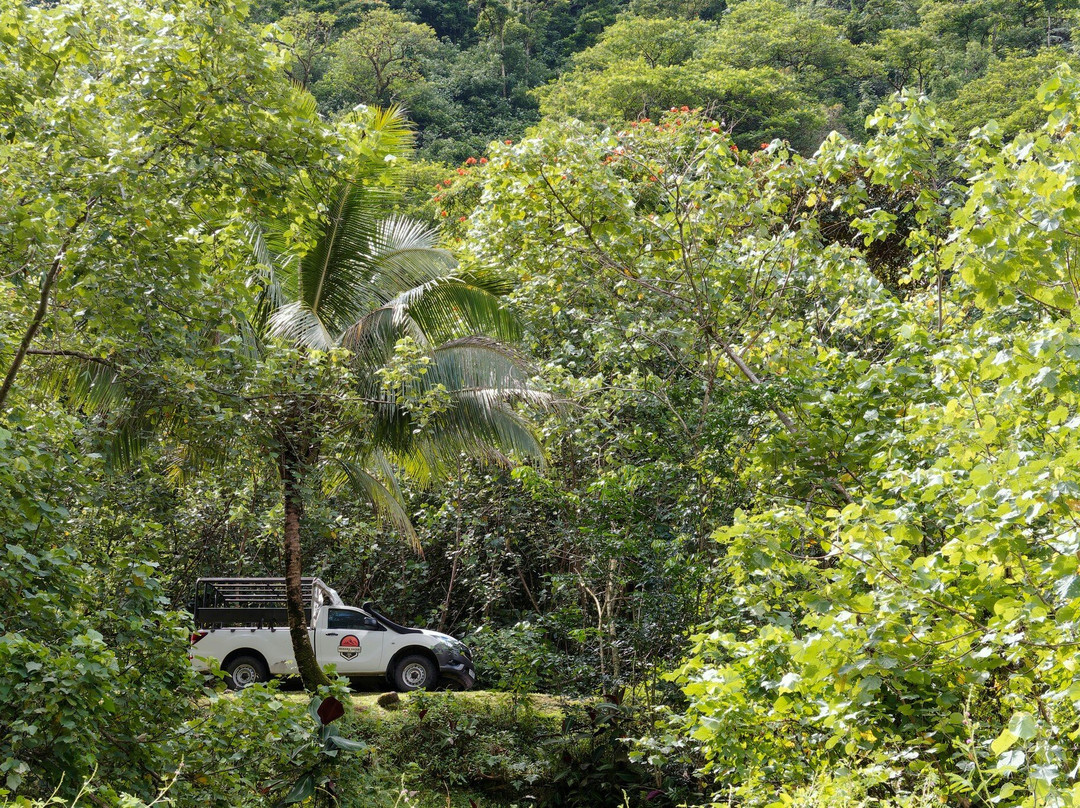 Marama Safari 4x4景点图片