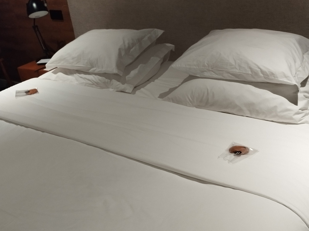 Octant Hotels Ponta Delgada主图