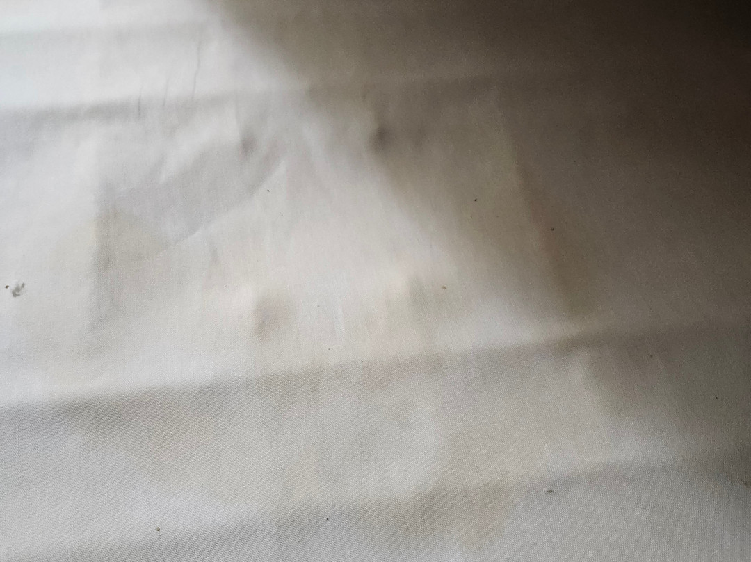 温德姆速8酒店奥马哈I-80西主图