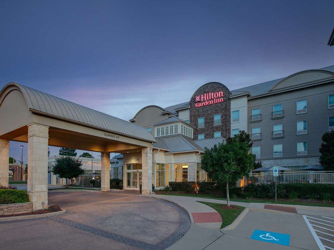 Hilton Garden Inn Dallas/Arlington主图