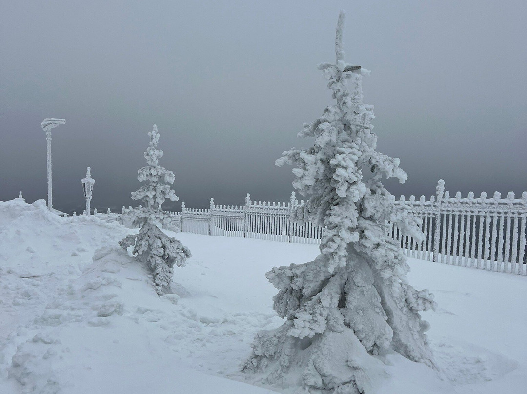 Belogorsk St. Nicholas Missionary Monastery-Belaya Gora必去景点