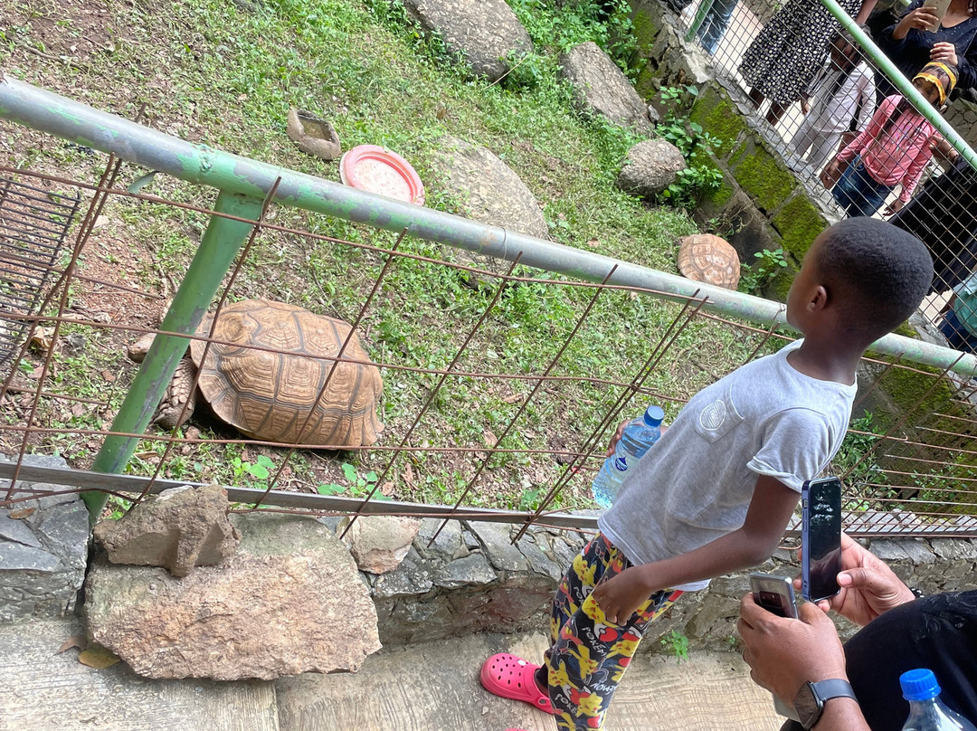 Green Legacy Resort主图