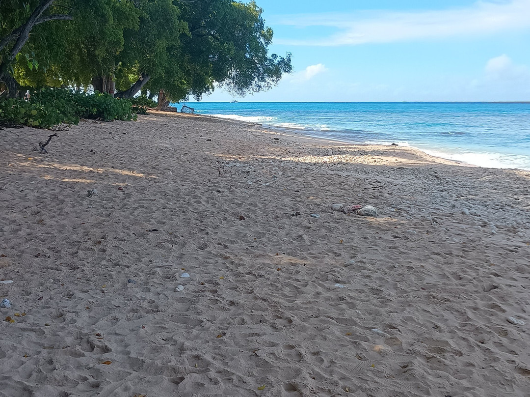 Batts Rock Beach-布里奇顿必去景点