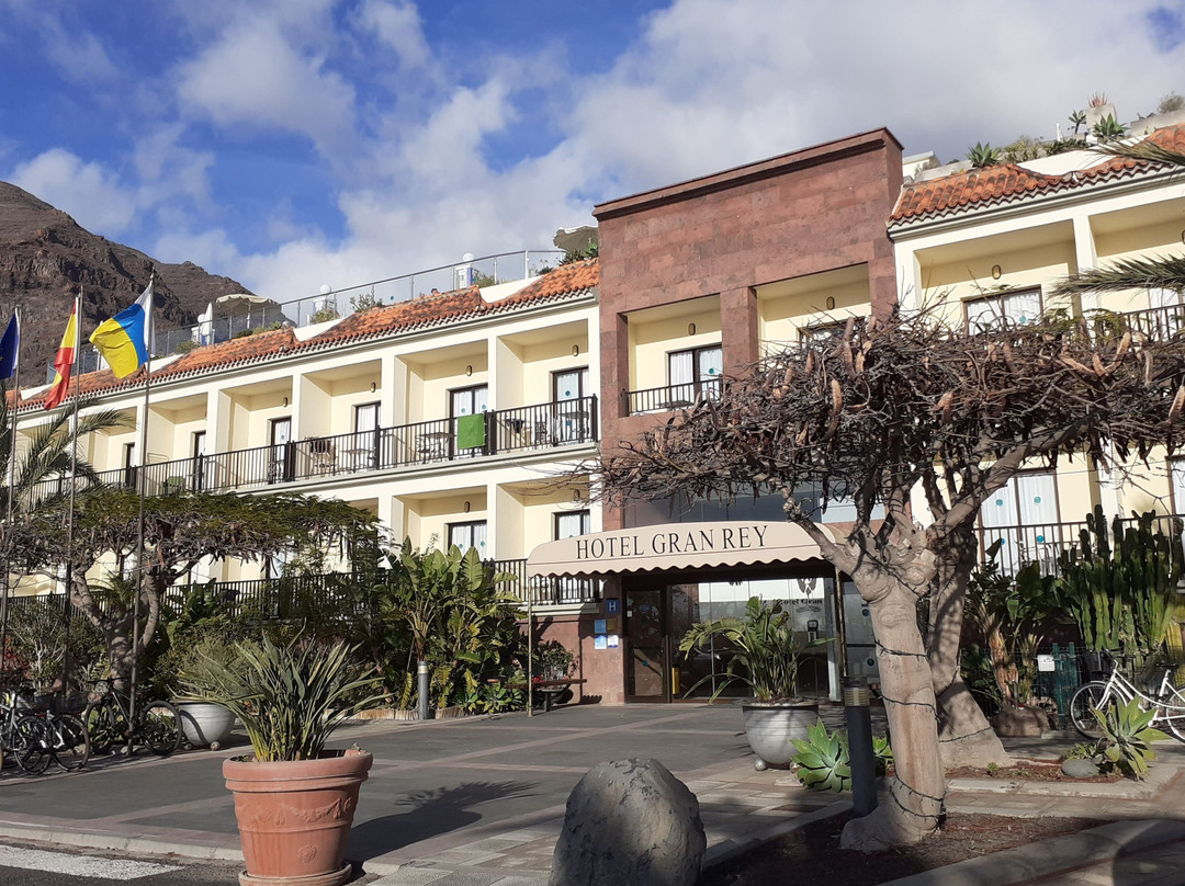 Hotel Gran Rey主图
