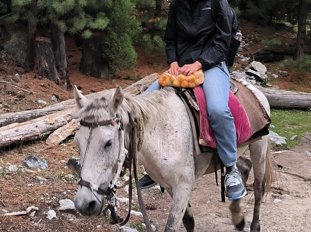 Pakistan Packages Tour-Gilgit必去景点