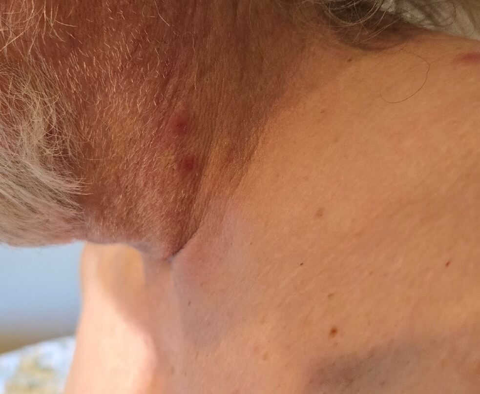 Woodsman Country Lodge主图