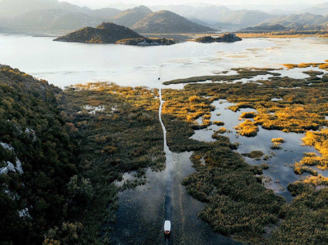 Kingfisher-维尔巴札拉必去景点