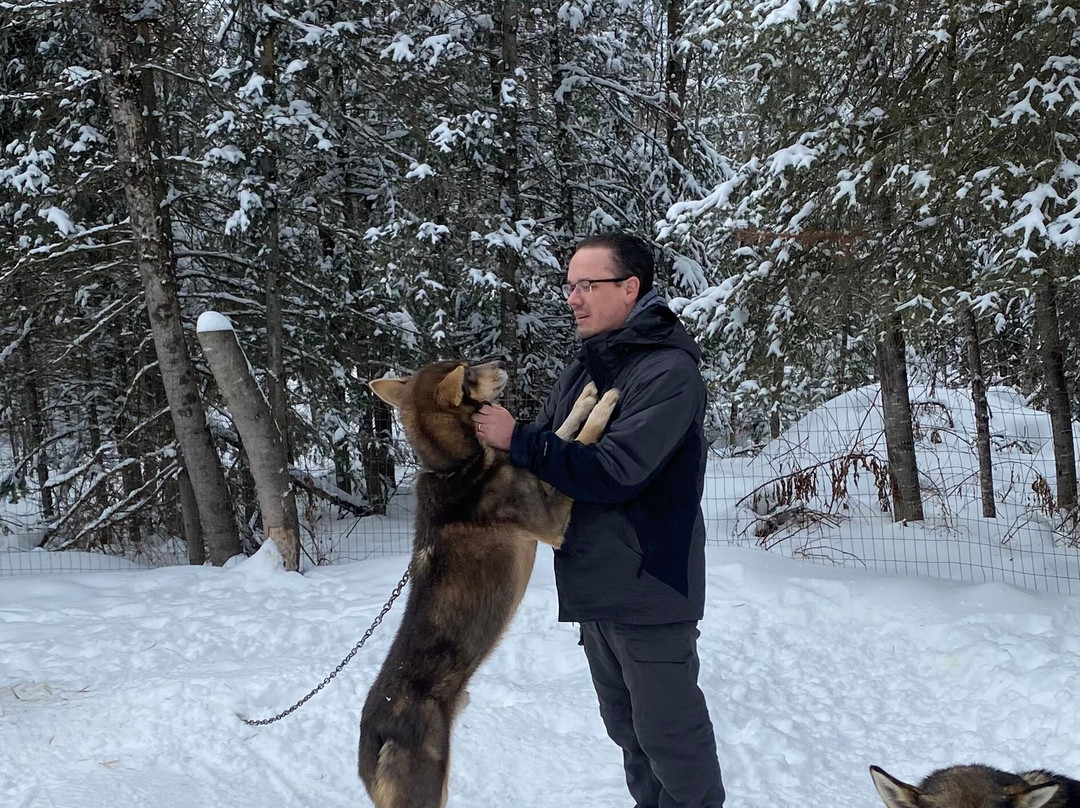 Chilly Dogs Sled Dog Trips-伊利必去景点