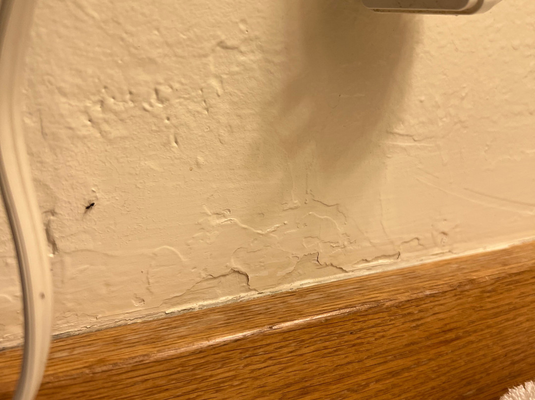 Harbor Lite Lodge主图