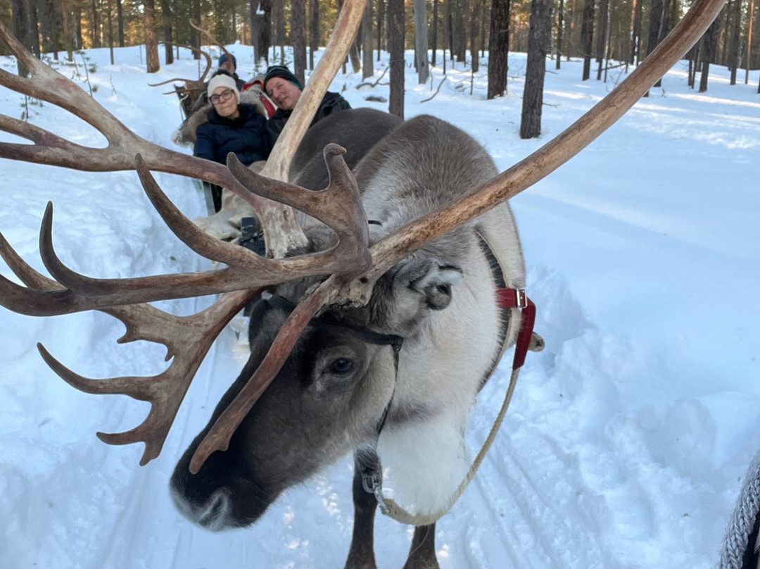 Snow Fun Safaris Lapland-Akaslompolo必去景点