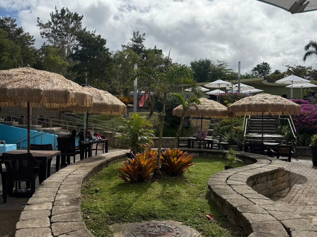 Coamo Thermal Hot Springs景点图片