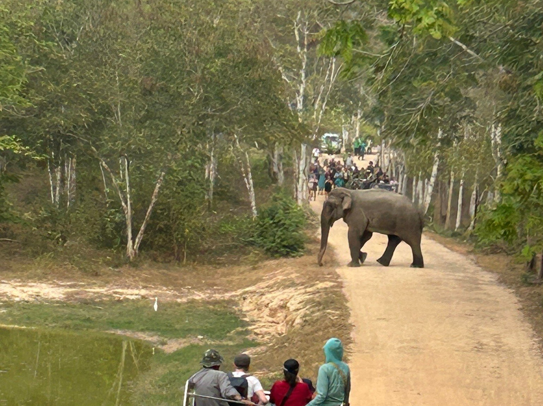 Kui Buri National Park-桂武里必去景点