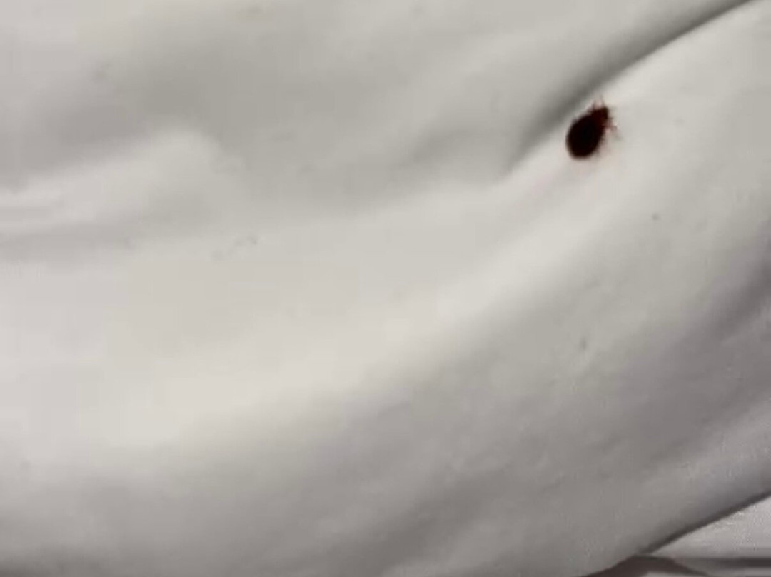 Hampton Inn & Suites by Hilton Thunder Bay主图