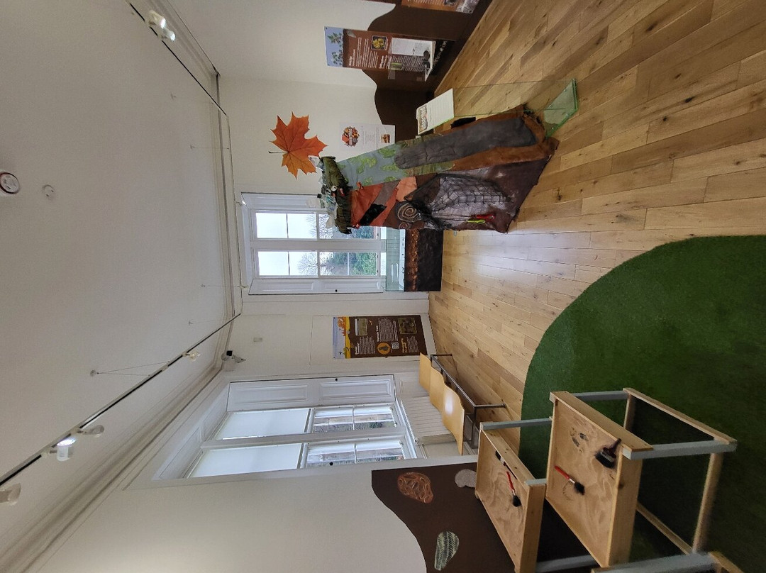 St Andrews Museum-圣安德鲁斯必去景点