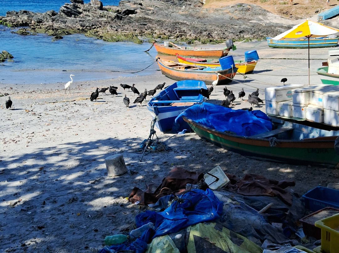 San Matheus Fort-卡布弗里乌必去景点