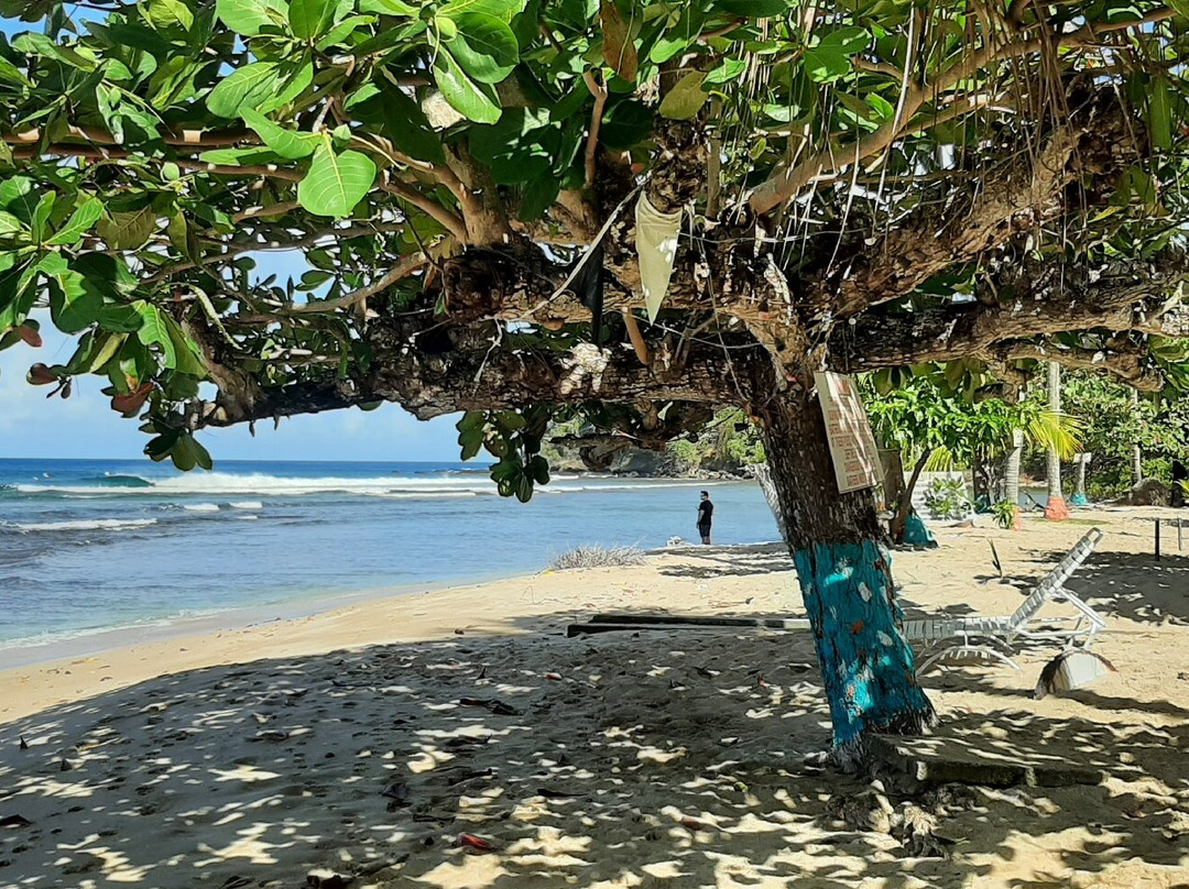 Mount Irvine Beach-Mount Irvine必去景点