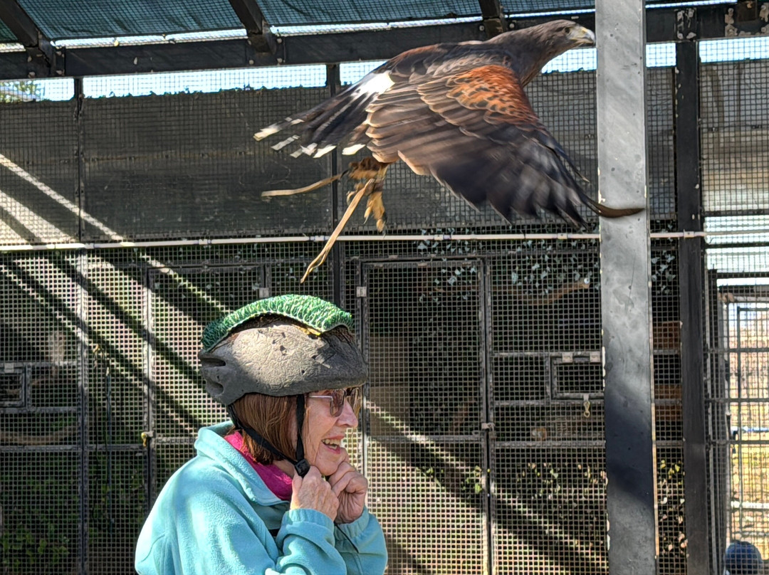 Zoo to You (Conservation Ambassadors)-帕索罗布尔斯必去景点