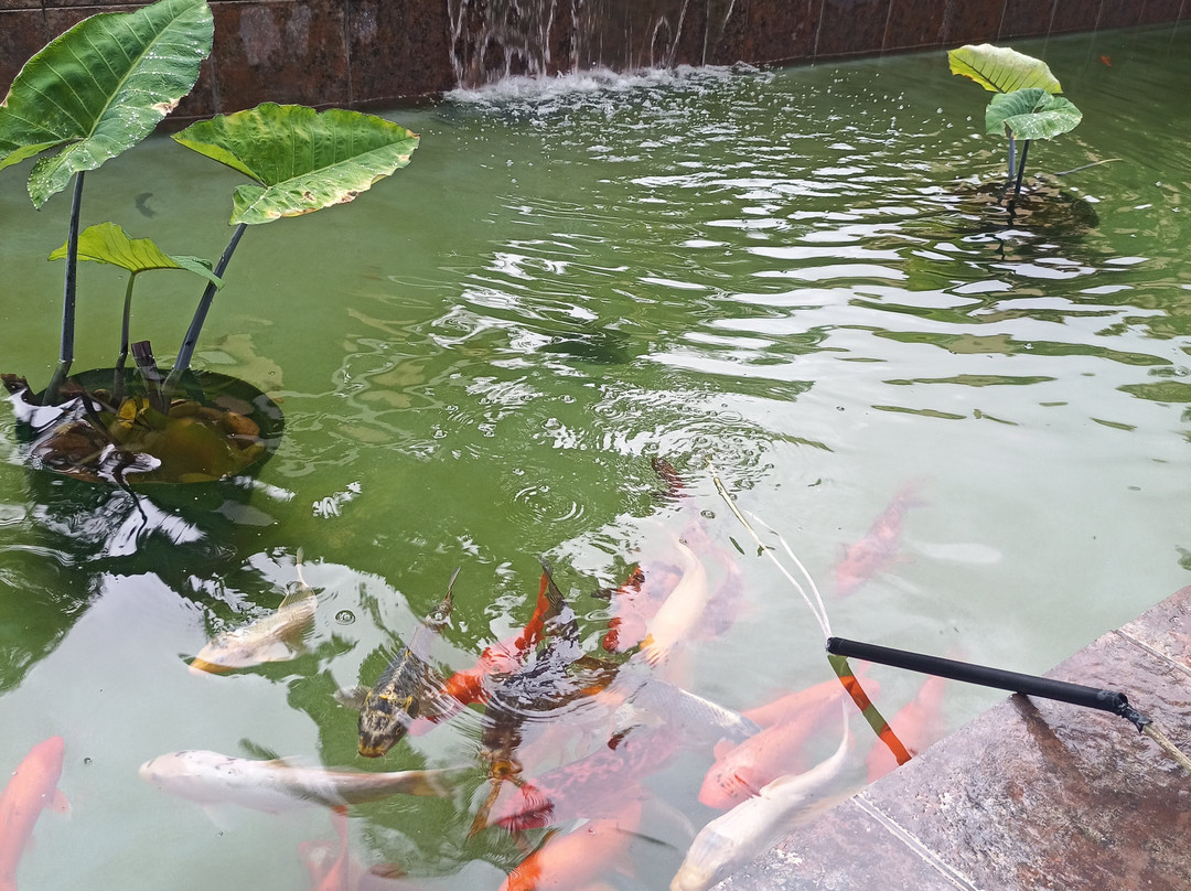 La Baruné Guest House主图