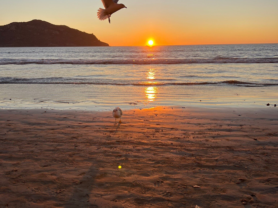 Malecón de Mazatlán-马萨特兰必去景点