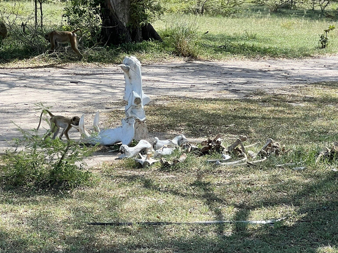 Mchaka Mchaka Tours-Mloka必去景点