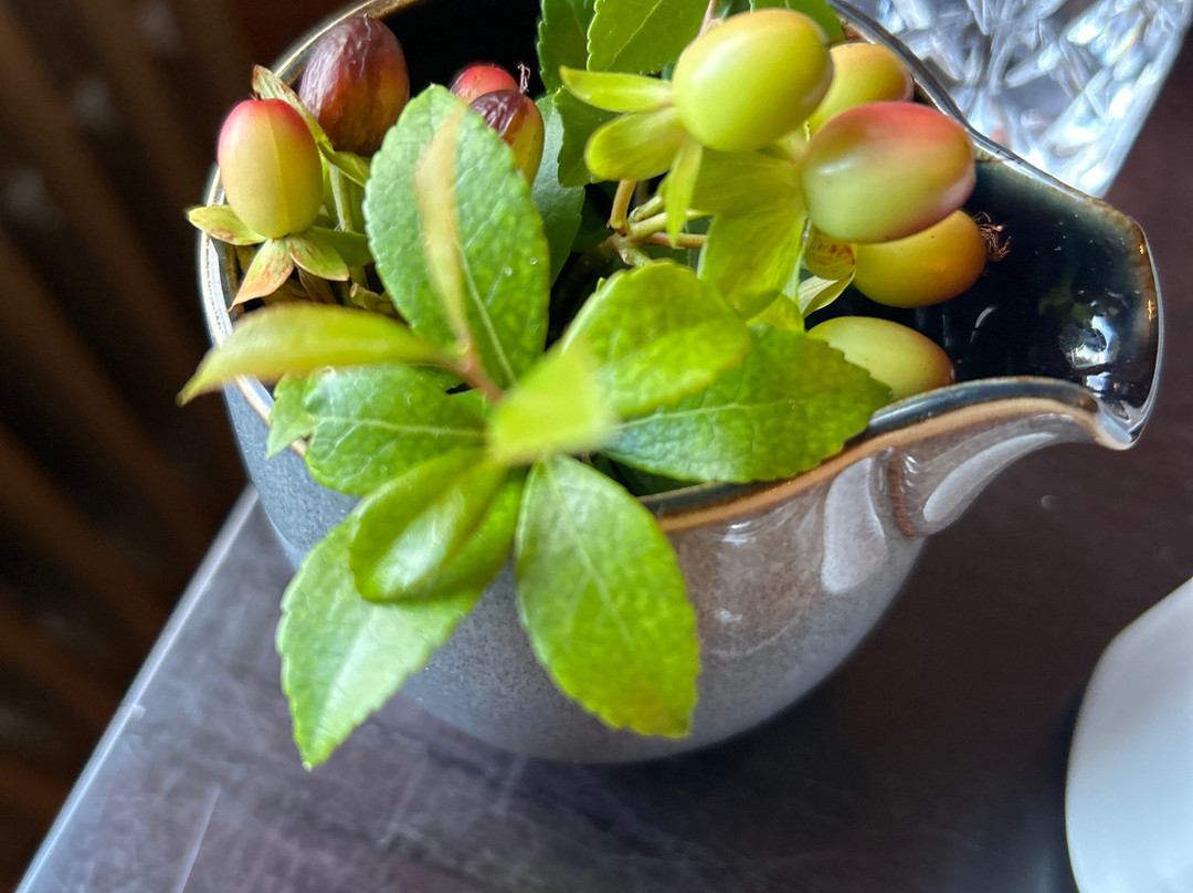 白蜡树别墅酒店主图