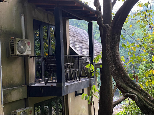 Forest Shade Eco Resort主图