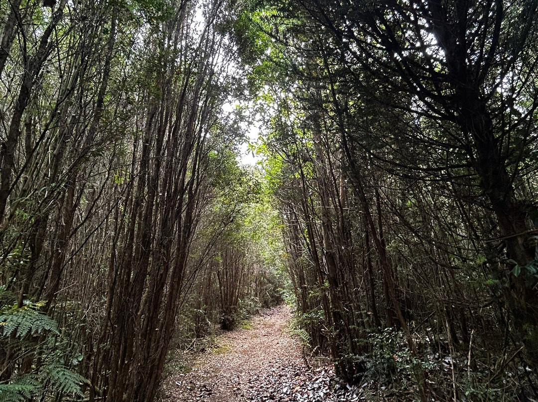 Parque Kewle-巴拉斯港必去景点