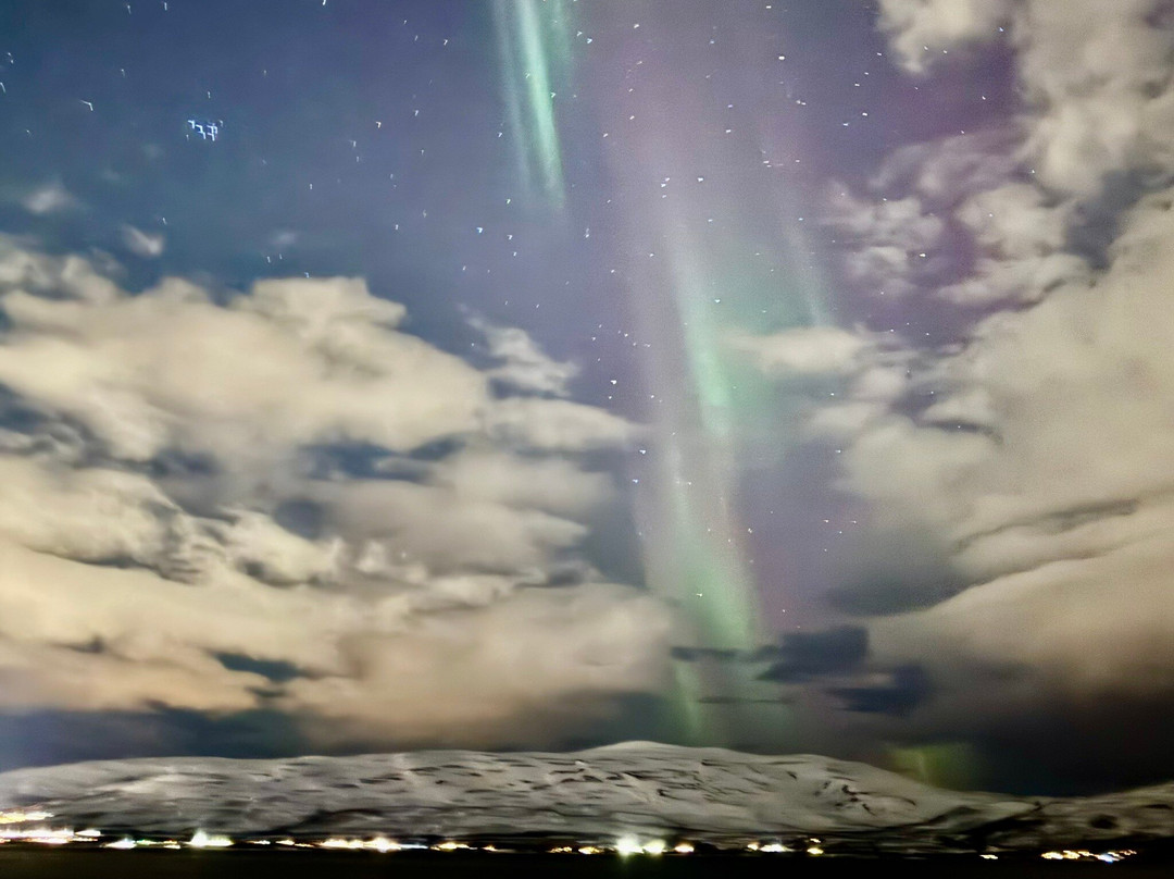 Soroya Havfiskecruise – Day Tours-特罗姆瑟必去景点