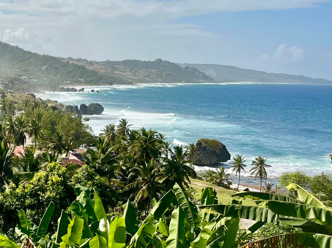 Ted's Tours-Hastings必去景点