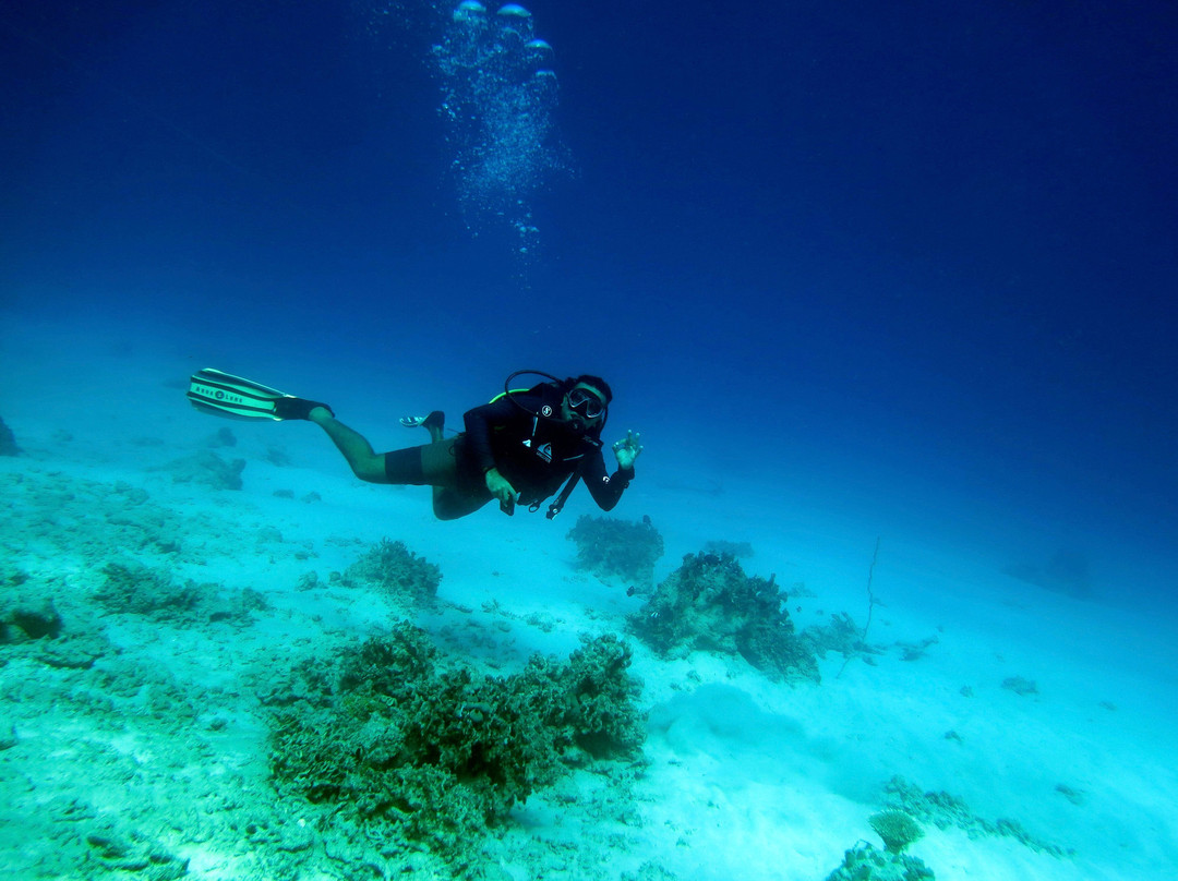 Kasa Diving - Diving Maziwe Marine Reserve-Pangani必去景点