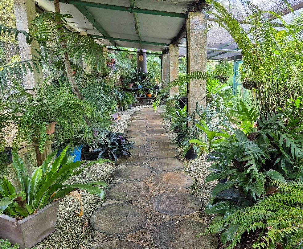 Tropical Garden Barbados-Saint George Parish必去景点