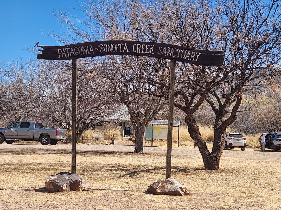 Patagonia-Sonoita Creek Preserve景点图片