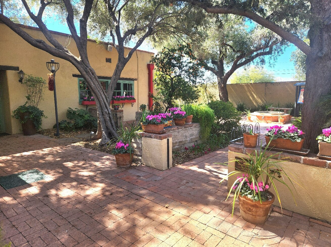 Tucson Botanical Gardens-图森必去景点