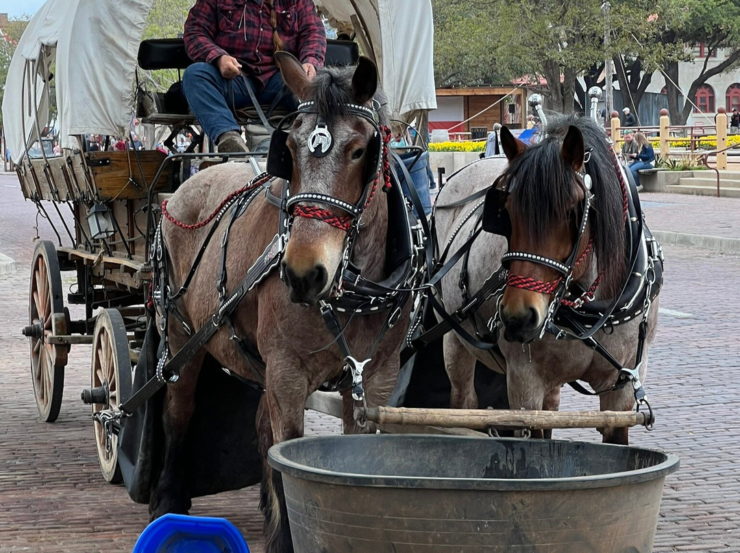 Exchange Avenue-沃思堡必去景点