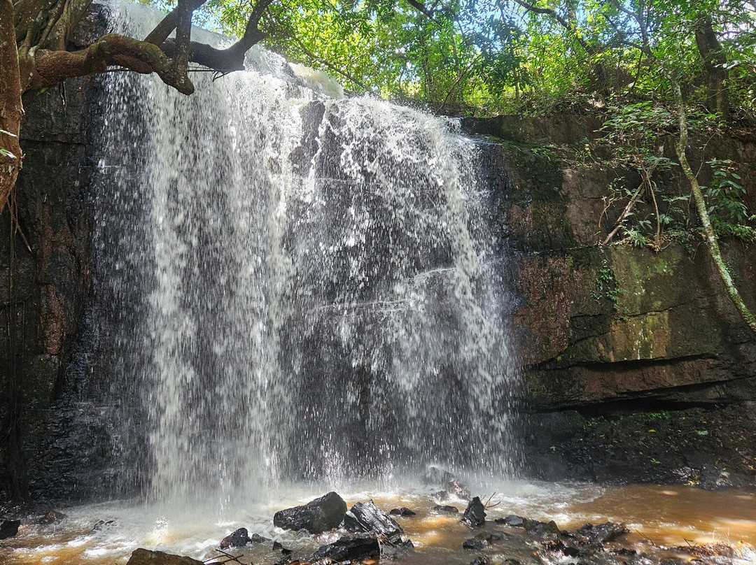 Fazenda Do Alho景点图片