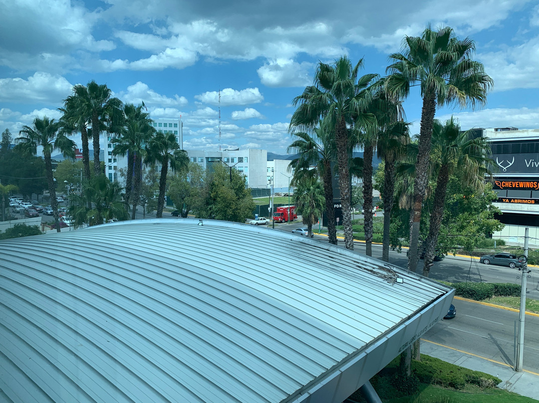 Crowne Plaza Leon by IHG主图