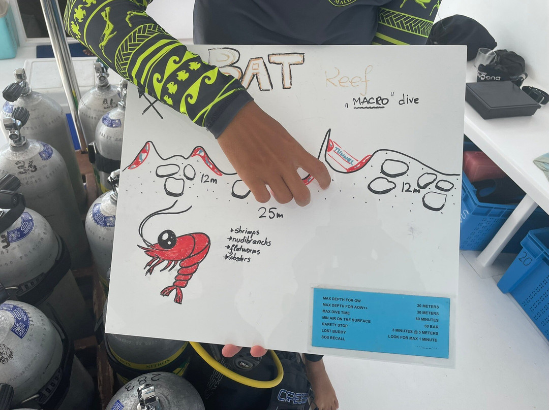 Euro-Divers Kagi-Kagi必去景点