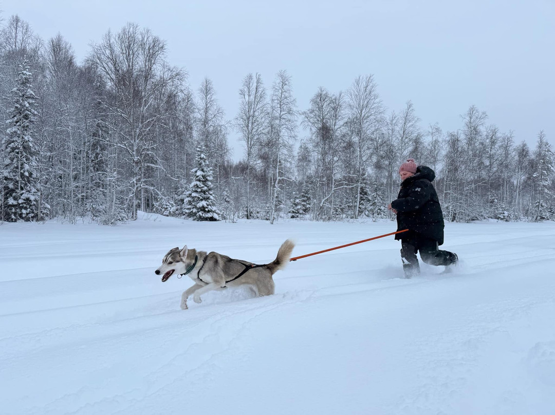 Boreal Pack Adventure-Overkalix必去景点