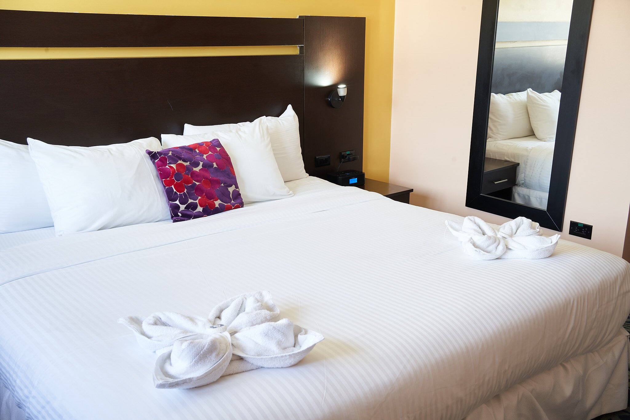 Bijou Amethyste Hotel-客卧