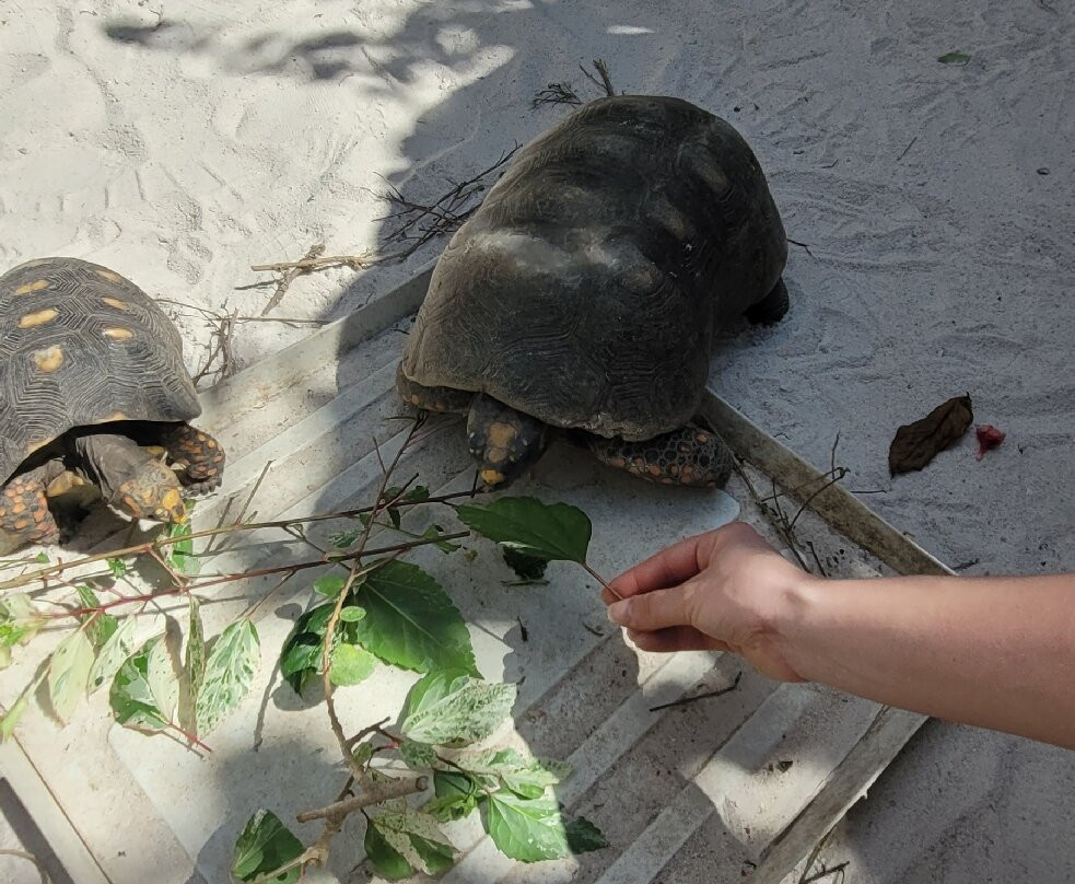 J.R. O'Neal Botanical Gardens-Road Town必去景点