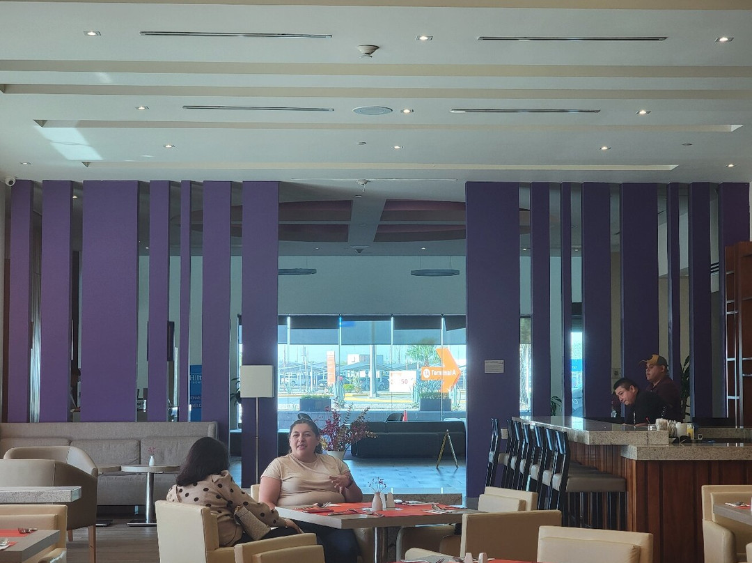 Hilton Garden Inn Monterrey Airport主图
