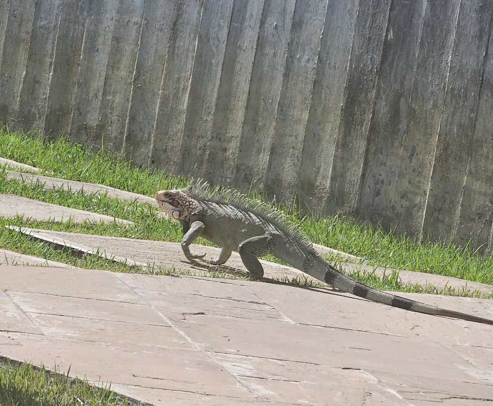 Eurobuilding Hotel & Suites Lecheria主图